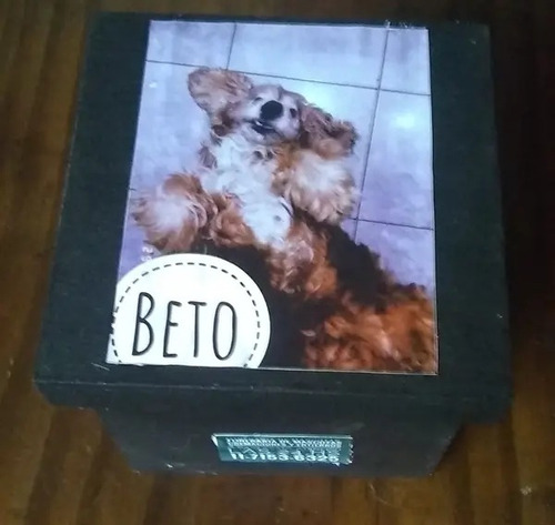 Imagen 3 de 5 de Cremación De Mascotas A Bajo Costo