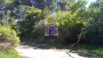 Comprar 500-08 Oportunidad Terreno En Lo Alto Del Cerro De Los Burros