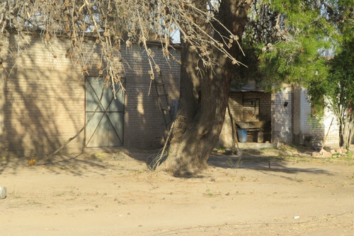 Imagen 10 de 12 de Vendo Finca 25 Hectareas En Colonia Elena San Rafael Mendoza