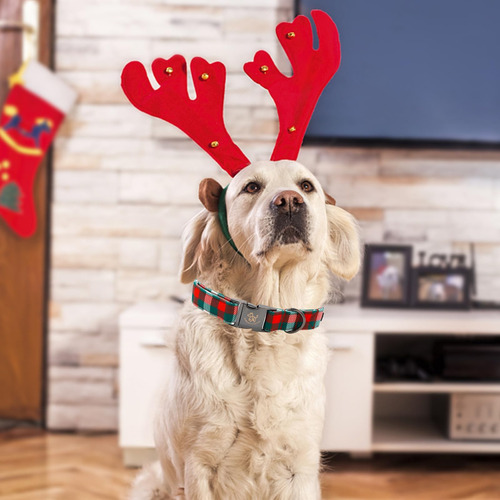 Collar Elegante Con Diseño De Hombre De Jengibre Para Perros