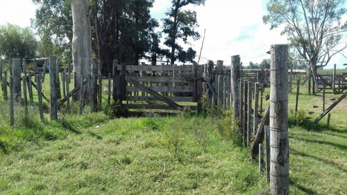 Imagen 14 de 15 de Venta Campo Mixto En Pergamino 27 Hectareas
