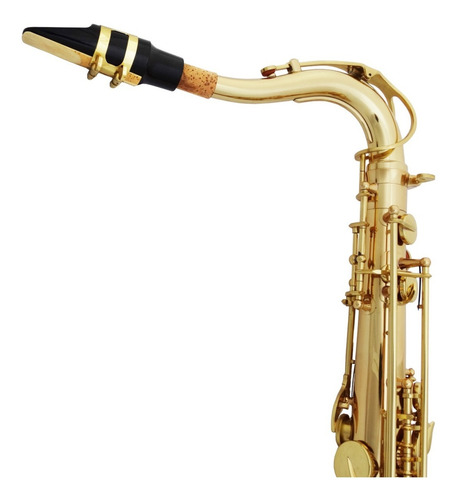 Sax Tenor Hoyden Laqueado - Hts-25l