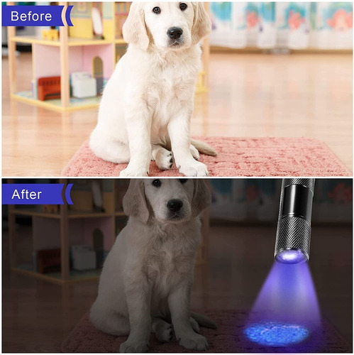 Imagen 8 de 9 de ¡ Linterna Uv Led Uv Ultravioleta Luz Negra Experimentos !!