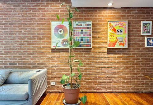 Vinilo Records Apart 2dorm. En Palermo Nuevo / Fray Justo Santa Maria De Oro 2900.