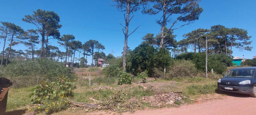 Terreno En Venta En El Bosque En Punta Del Diablo