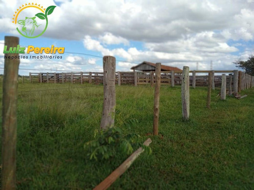 Imagem 3 de 7 de Fazenda À Venda Em Ribas Do Rio Pardo - Ms - De 411 Alqueires (pecuária) - 1744