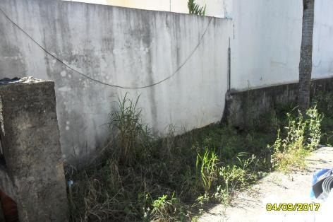 Imagem 5 de 6 de Terreno Em Braz Cubas - Ven370