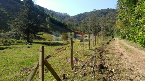 Imagem 3 de 9 de Chácara À Venda No Bairro Testo Alto - Pomerode/sc - 2261c