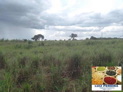 Imagem 4 de 15 de Fazenda À Venda Em Marianópolis - To - De 429 Alqueirão (dupla Aptidão) - 1682