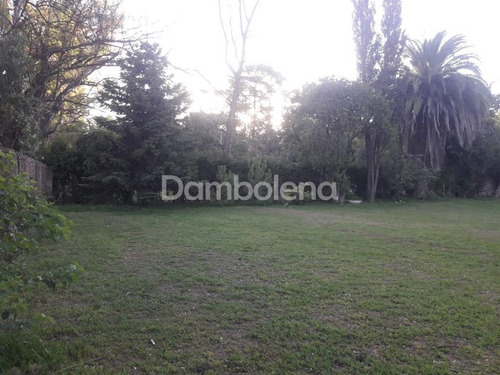 Imagen 5 de 10 de Terreno Lote En Venta Ubicado En La Reja, Moreno, G.b.a. Zona Oeste