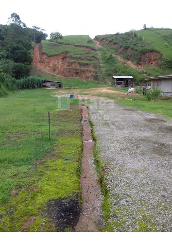 Imagem 3 de 16 de Casa A Venda Em Brusque/sc - 1709cs