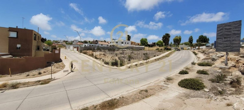 Imagen 10 de 11 de Se Vende Terreno En El Rosario De Peñuelas