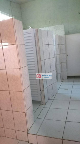 Imagem 18 de 30 de Chácara À Venda, 5000 M² Por R$ 850.000,00 - Jardim São Gabriel - Jacareí/sp - Ch0100