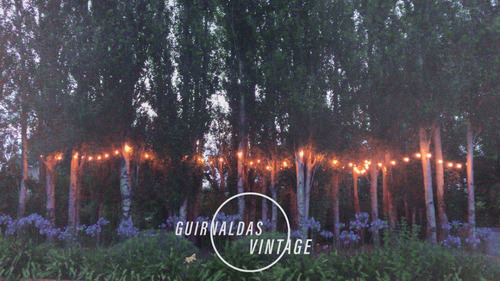 Imagen 9 de 10 de 10 Mts Guirnalda De Luces Exterior Con 10 Lamparas Vintage