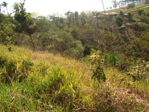 Imagem 3 de 3 de Terreno - Chácara San Martin I - Te2267