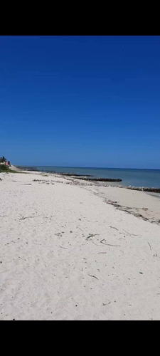 Remato Terreno En Chuburná Puerto 90 Metros De La Playa