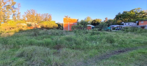 Imagen 3 de 4 de Lote De 327 M² En Bº Las Margaritas - Pilar