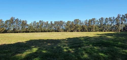 Imagen 5 de 13 de Venta Chacra 6,5 Hectareas Sobre Luis Batlle Berres