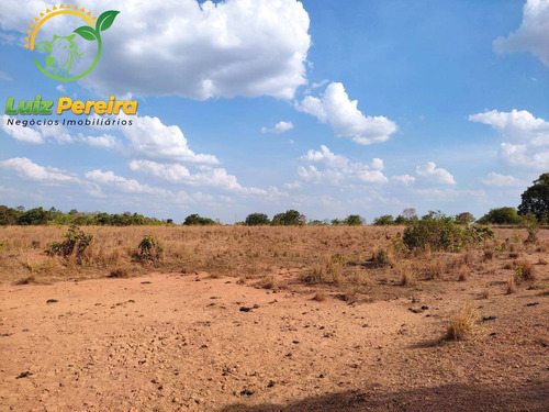 Imagem 11 de 12 de Fazenda À Venda Em Abreulândia - Pa - 1.427,8 Hectare (dupla Aptidão) - 2038