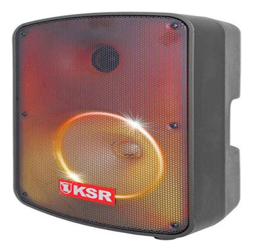 Bafle Profesional Recargable Ksr 8 PuLG Microfono Ksw-1108