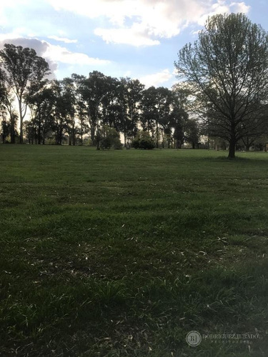 Imagen 6 de 25 de Terreno - Haras San Pablo