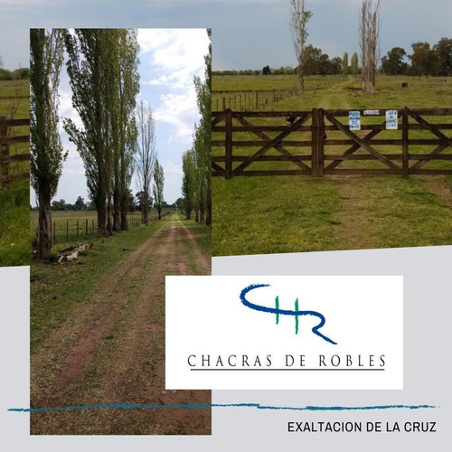 Imagen 5 de 5 de Gran Chacra En Venta En Chacras De Robles, Exaltación De La Cruz