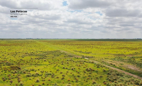 Campo De 255 Hectáreas En Las Petacas, Santa Fe