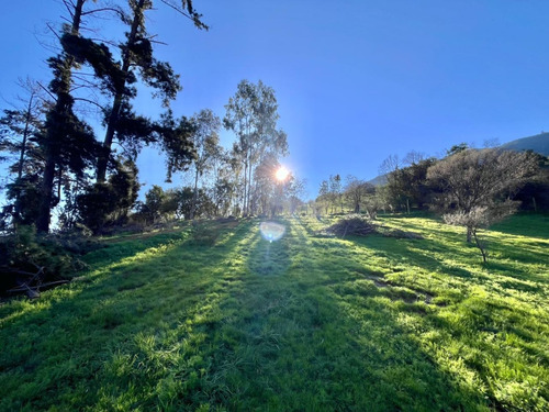 Gran Terreno En Olmué