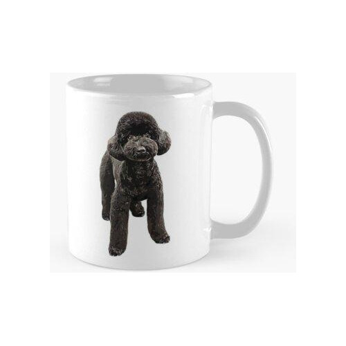 Taza Toy Poodle Precioso Mini Perro Calidad Premium