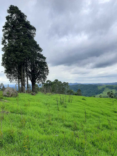Imagem 8 de 9 de Terrenos De 1000² Para Sua Casa Com Boa Área No Interior