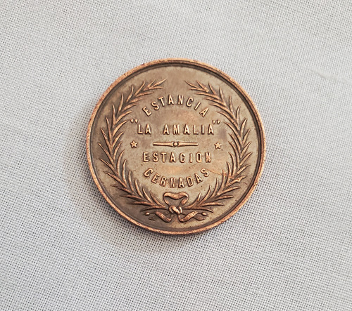 Medalla Estancia La Amalia 20 De Abril 1895 (Usado)