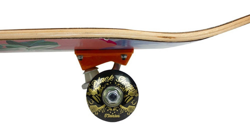Imagem 3 de 6 de Skate Completo Montado Street Ideal Para Iniciante Qualidade