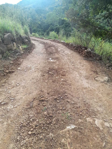 Imagen 14 de 18 de Finca En Venta La Montañita Vereda Tomogo San Luis, Tolima