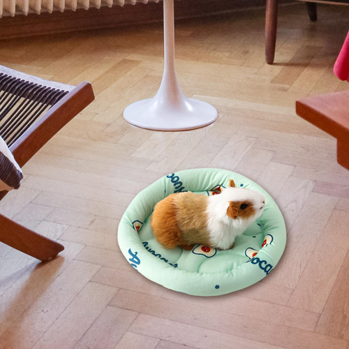 Cama Para Dormir De Animales Pequeños, Almohadilla Verde S