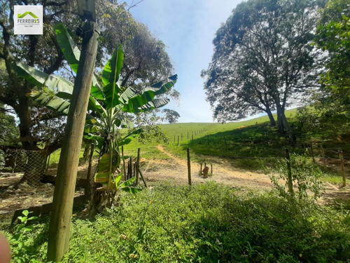 Imagem 20 de 30 de Sítio A Venda No Bairro Parque Capivari Em Duque De Caxias - 834-1