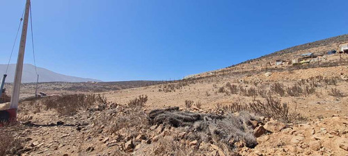 Vendo Terreno De 5000 M2 El Romero La Seren (64344)