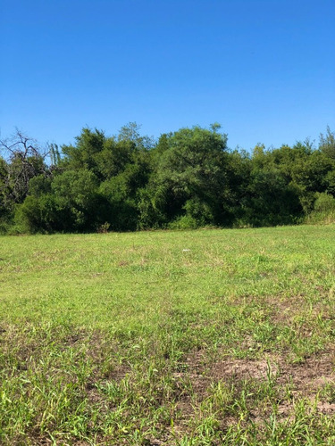 Imagen 13 de 18 de Lote 1250 M2 - La Aguadita / Villa De Las Rosas - Traslasierra