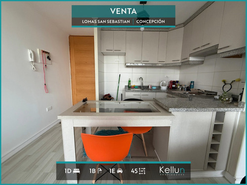 Departamento En Venta 1d | 1b | 1e En Lomas San Sebastian