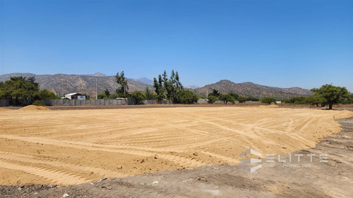 Industrial En Venta En Casablanca