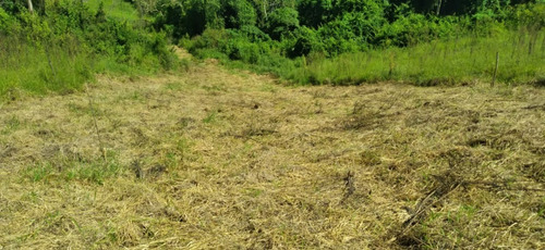 Imagem 4 de 15 de 11o- Terreno Direto Com O Proprietário