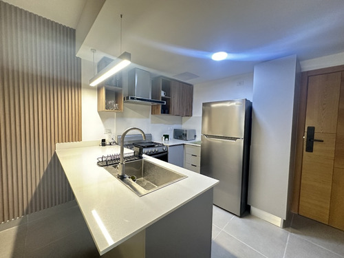 Apartamentos De 1 Habitación En Alquiler En Gazcue.