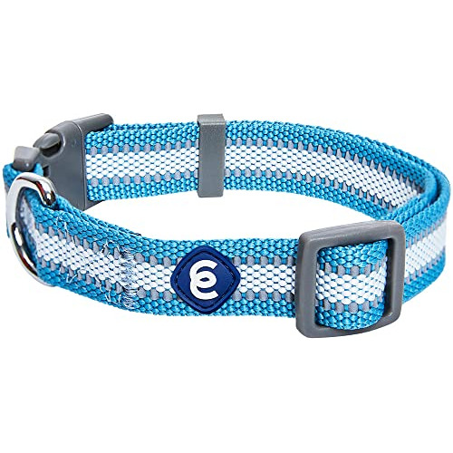 Blueberry Pet Essentials Reflective Back To Basics Collar Aj