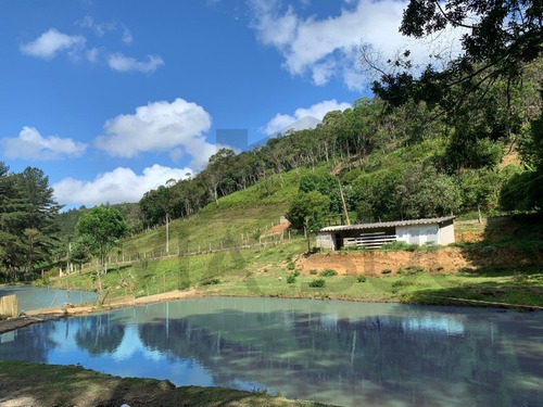 Imagem 12 de 30 de Lindo Sitio, Com 03 Nascentes! Ideal Para Lazer E Criação. - 118 - 69225614