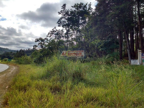 Área À Venda, 19929 M² - Jardim Fortaleza - Guarulhos/sp - Ai4819