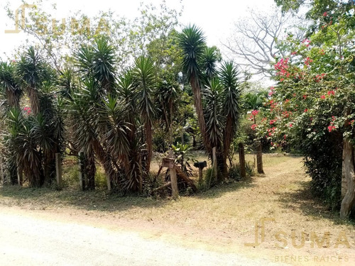 Imagen 3 de 7 de Terreno - Tampico Alto