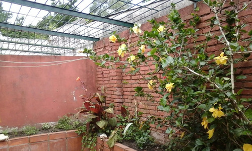Vendo 2 Casas Con Renta.