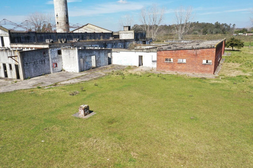 Planta Frigorifica Ex Proinco