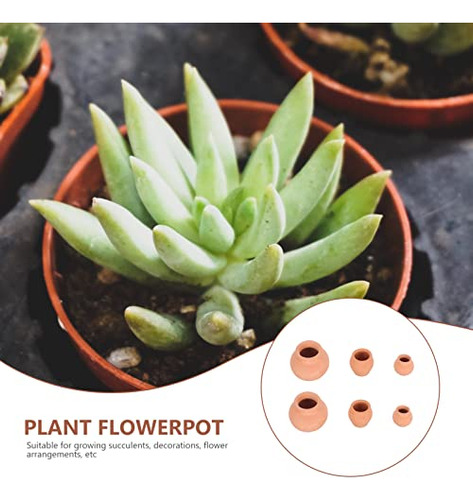Conjunto De 6 Macetas De Cerámica Para Cactus Y Flores