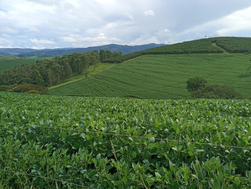 Fazenda A Venda No Sul De Minas Com 470 Ha - Bcp93
