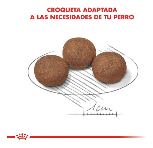 Alimento Royal Canin Size Health Nutrition Medium Puppy para perro cachorro de raza mediana sabor mix en bolsa de 15 kg